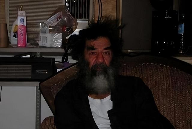 萨达姆没有死？美军抓的是萨达姆替身？三方面揭开真相：确系本人