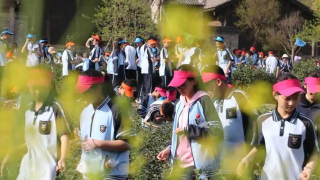 景区研学专属优惠礼包来了→