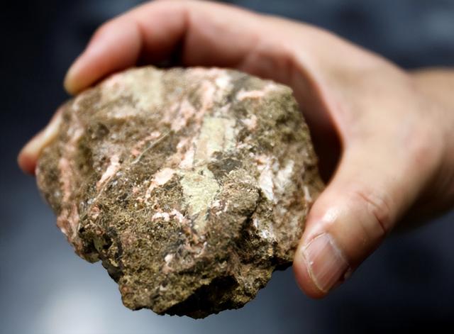 高市报复开始，数十国围攻中国，特朗普下令	，180天内拿下胜利