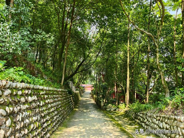 成都徒步（68）·彭州篇⑮佛山古寺&镇国寺宝塔
