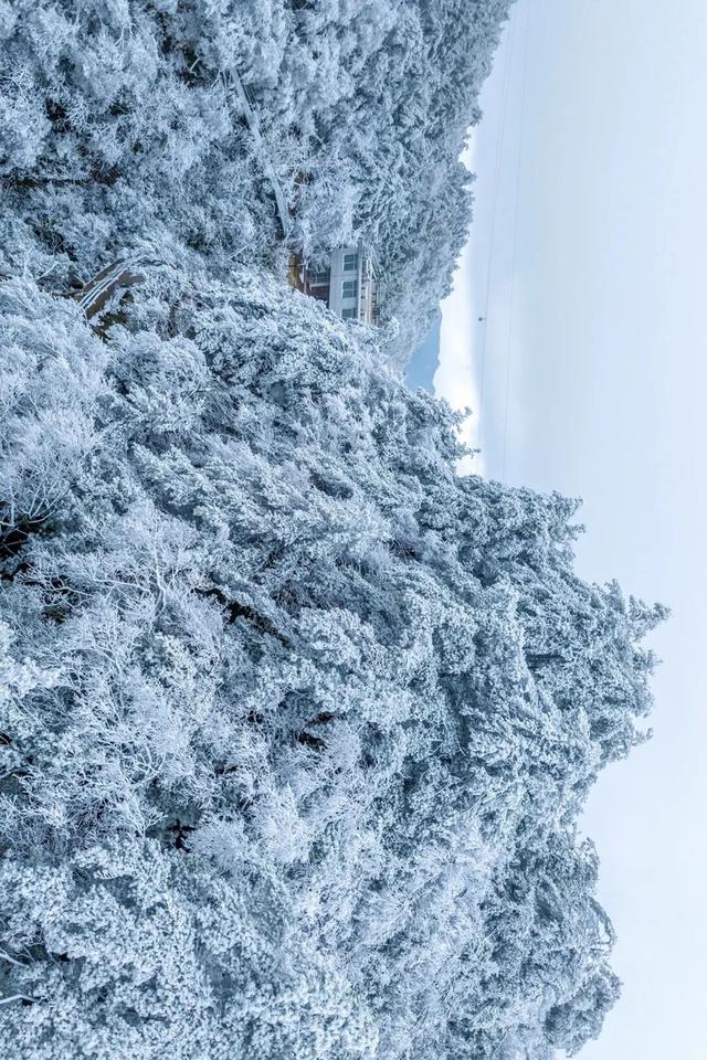 河南秋景大片，来了！（请横屏观看）