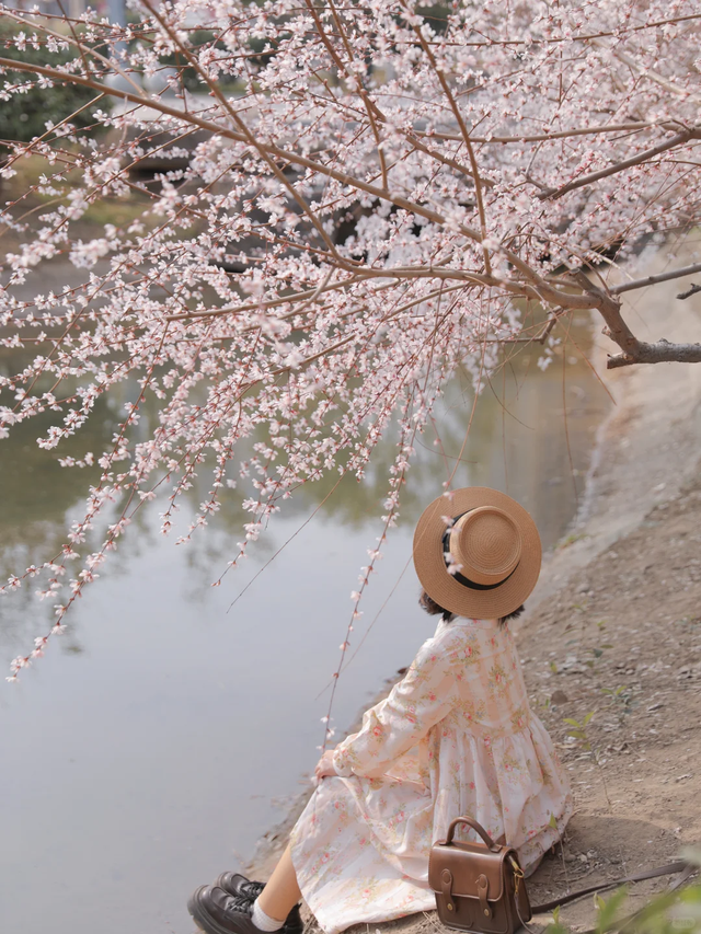 西安春讯｜玉兰、桃花、梅花｜6个早春赏花地 承包你的春季浪漫