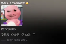 原来女孩子越懒越有福，这次我是真的信了，评论区一看一个不吱声图片