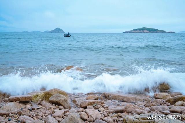 冬日寡淡？NO！看，花鸟岛的缤纷藏不住啦！