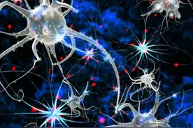 笑到肚子疼！科学家证实：快乐可以“感染”他人图片