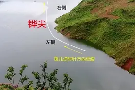 能不能钓到鱼，方向不在调漂和饵料，钓鱼懂得找鱼道才是重点图片
