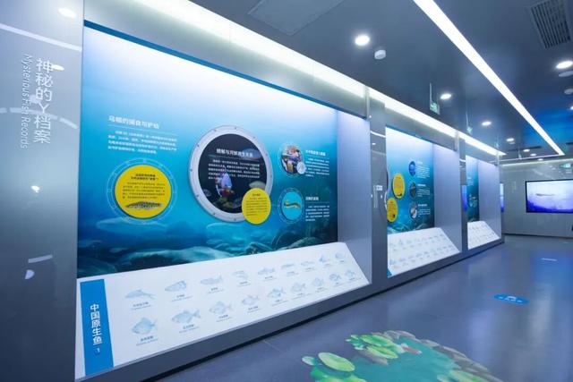 来东平！过大年！解锁不一样的年味~