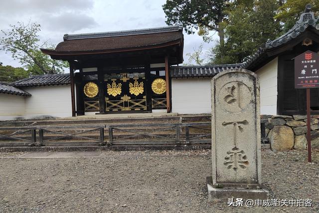 日本京都：走进醍醐寺