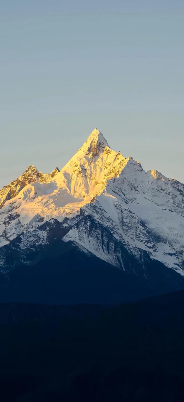 大佬用的体制内头像