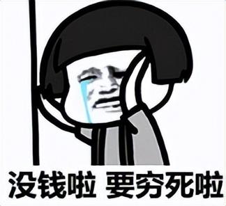 40万人花1500万，只为做一场“春梦”？