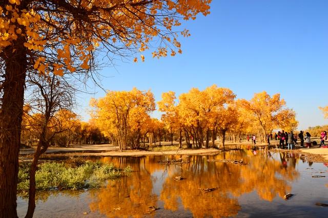 断航不扫秋兴！5个国内"熟透秋景"平替日本，规模颜值双碾压！