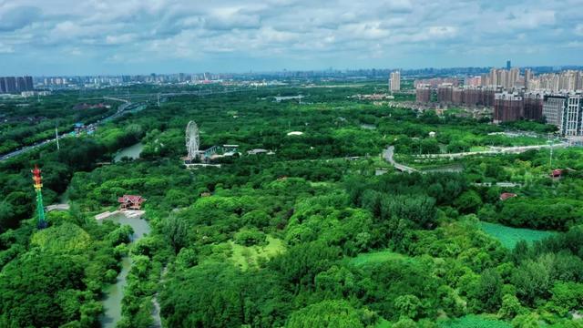 周五宠粉日|运动赏景两不误!这份公园运动指南请查收,更有辰山植物园门票等你免费领