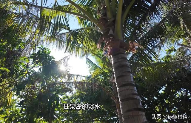 西沙甘泉岛险被越南侵占，岛上有神奇三宝，每样在南海都十分罕见
