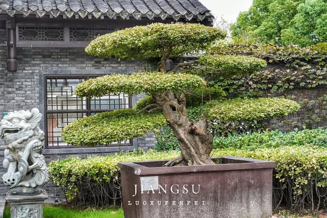 被严重低估的宝藏小城!2日暴走不输扬州的泰州凤城河!