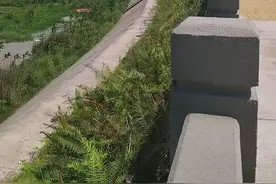 痛心！姐弟俩双双失联，遗体均已找到！图片