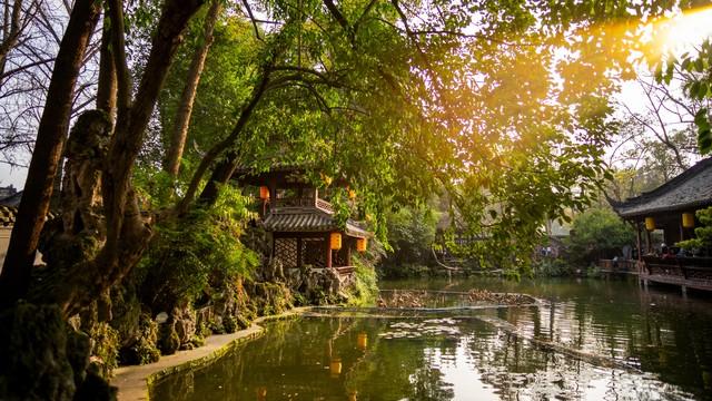 彩林、银杏、红叶...成都周边最值得去的8个景点