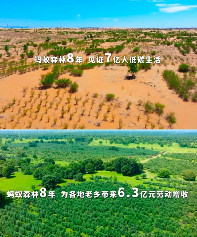 “隐匿”6年马云现身蚂蚁森林，曾经预言逐一应验，又有新动作？