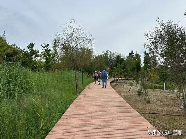 周末徒步,爬西山、走千步岩、过东风坝,我们在山水间快乐行走