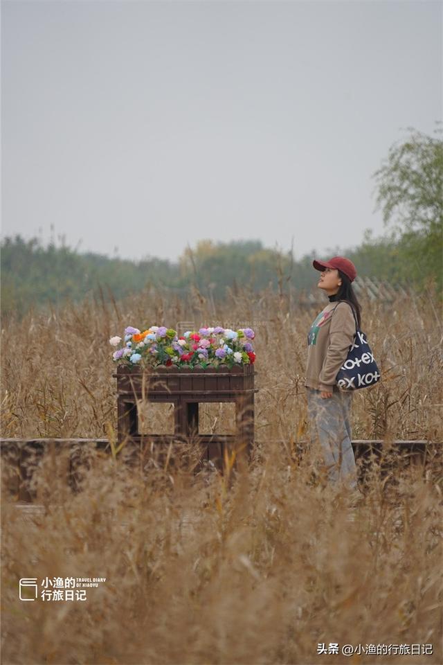 陕西秋冬自驾，浪漫天花板！一路风景一路惊喜！周末去浪