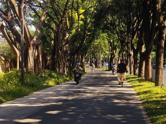 环西丽湖绿道骑行慢行随拍-动个好奇心