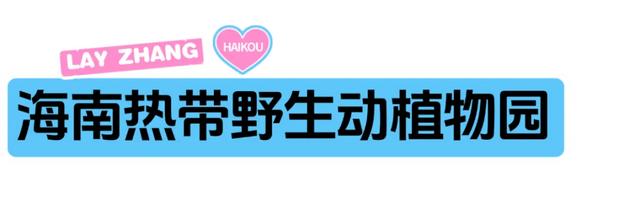 “兴”动海口！全城宠粉进行时→