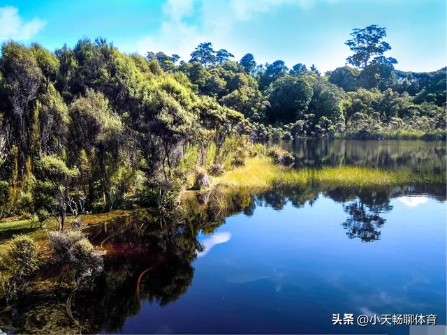 世界上只有云南省才有的全球独一无二的五大奇景