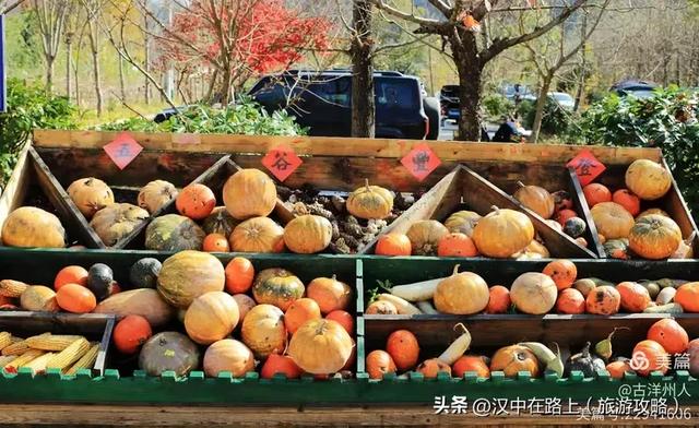 超出片！快来这里捕捉汉中秋色！