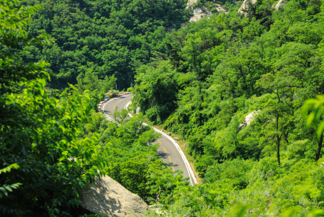 一次门票钱，免费一整年！潍坊5A级景区惠民年卡上线！