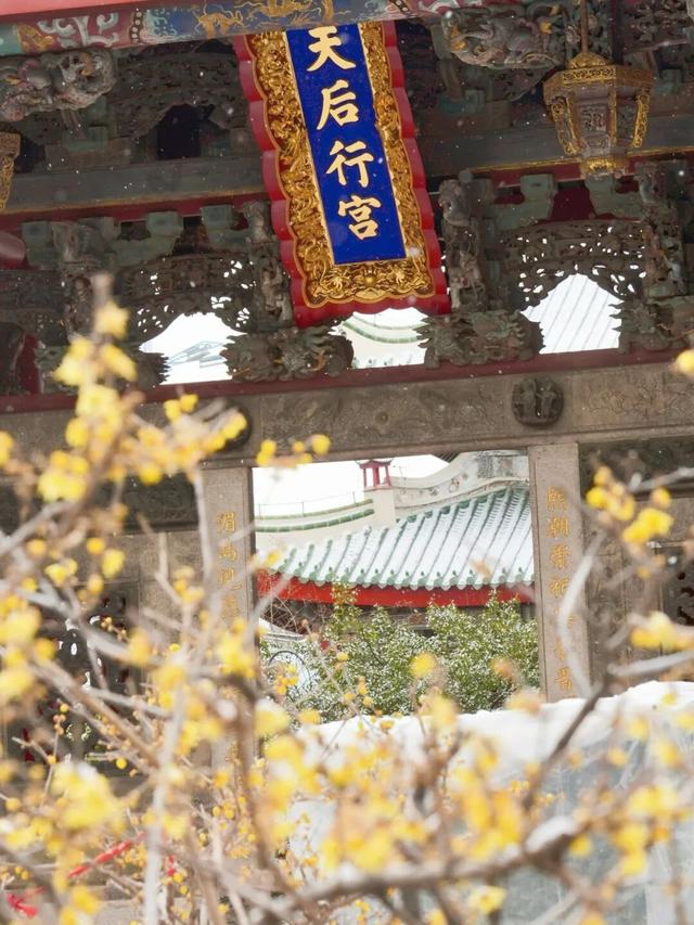 此刻！烟台花花花花花开了