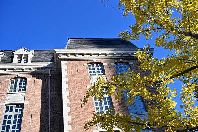 600元国产定焦，四种题材可玩性如何？体验铭匠Z口镜头23mm F1.8