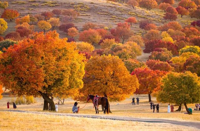 岭上画卷新 盟约山水间——2025年兴安盟文旅体事业高质量发展综述