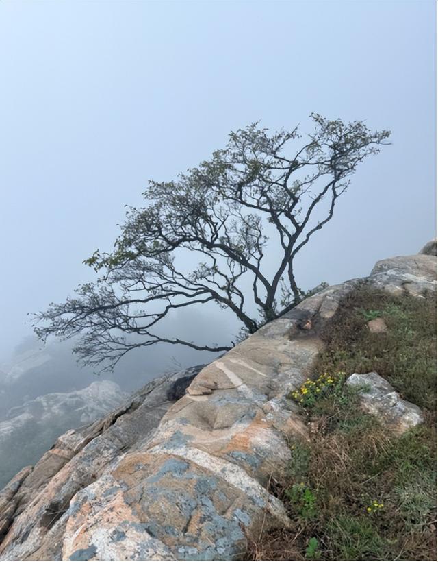 驴行信记：再攀“磨山顶”