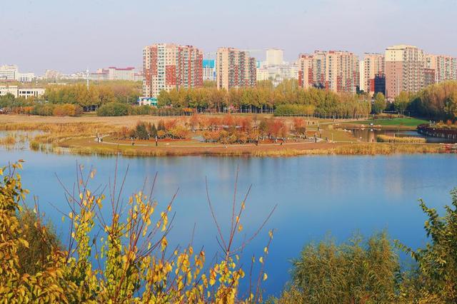 秋之彩色吉林｜苇花飞处是镜湖