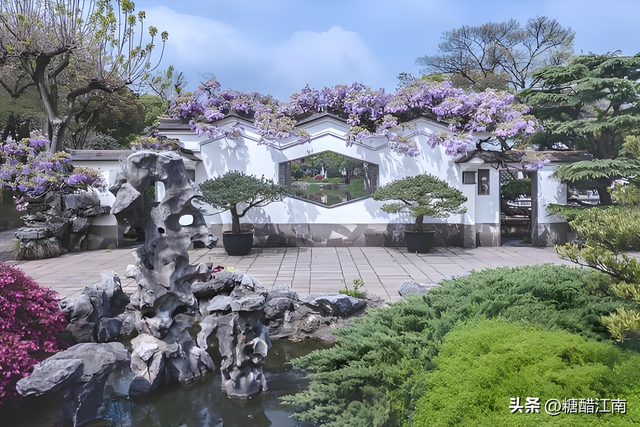 四月无锡一日游攻略｜错过鼋头渚樱花，这趟紫藤 + 杜鹃之旅更江南