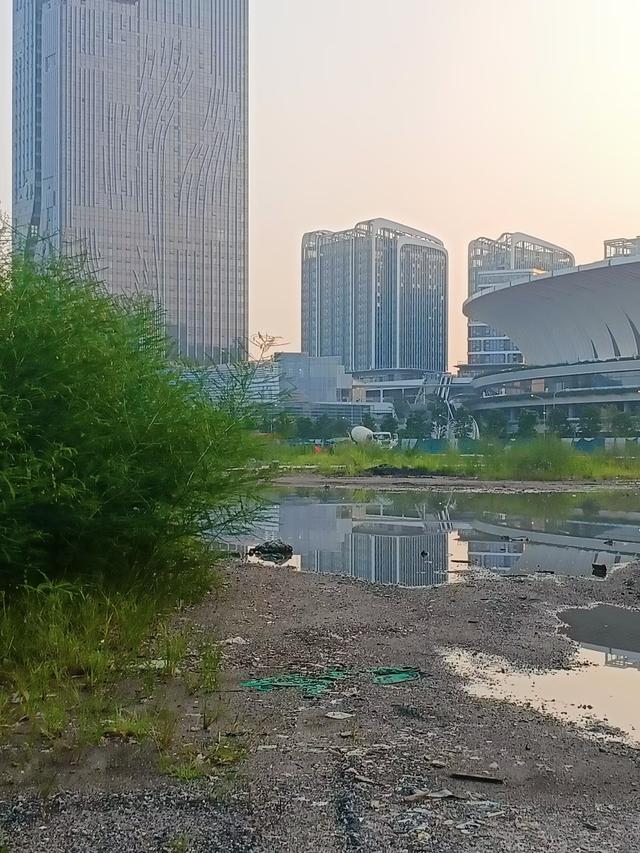 广东再行记之二十七 在广州白云火车站返京的列车上