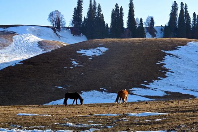 如要选一个冬季最佳拍雪景的地方,首选一定是它