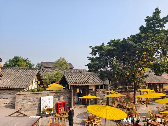 四川行(75)广汉②金雁湖公园·黑塔街·龙居寺