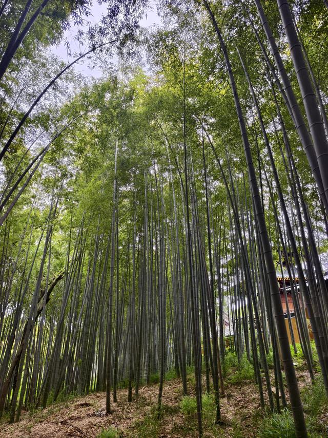 偷得浮生两日闲：在常熟，邂逅一段湖光山色里的慢时光