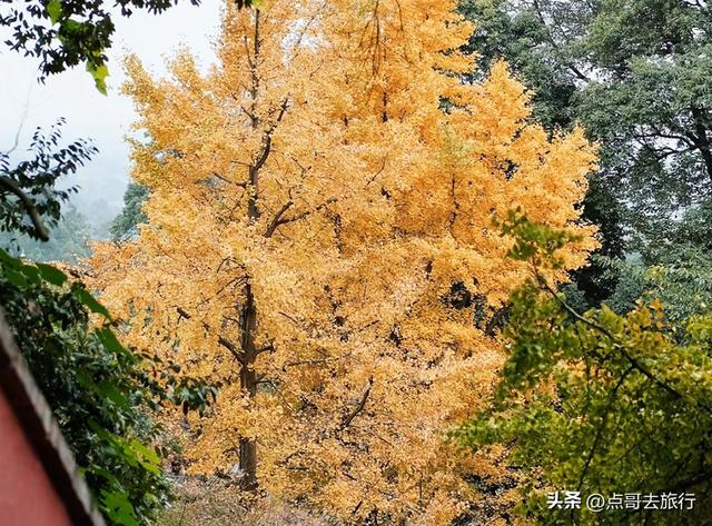 成都彭州“世界级”徒步路线，观景台超级惊艳，不要门票！