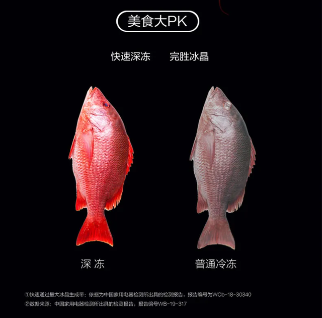 格力“小而美”冰箱：精准服务毕业青年的鲜享生活