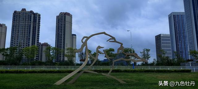 20250827-20250831大连旅顺三