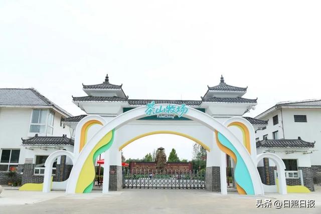 全球榜！中国榜！日照入选