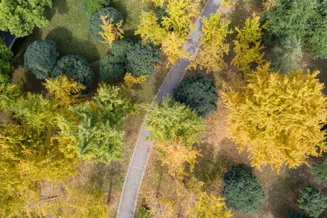 湖北小众秋色段位榜：这6条宝藏路线，让你独占整个秋天！