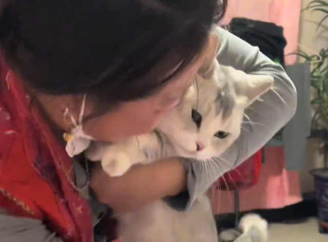 女儿吐槽妈妈太惯猫了，点开前：能惯成啥样，点开后：这不合适吧