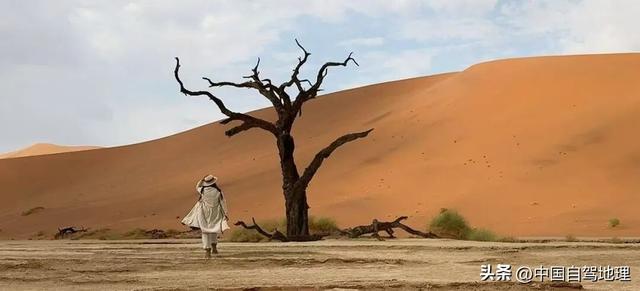 同事背着我们成了“南非旅游大使”？|中国自驾地理