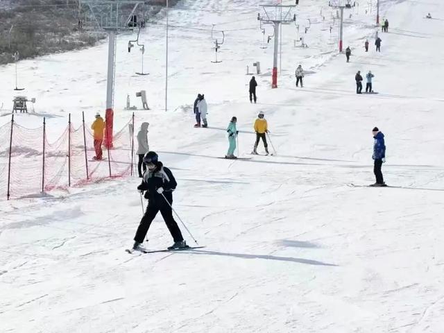 牙克石市：雪韵天成 林海欢歌