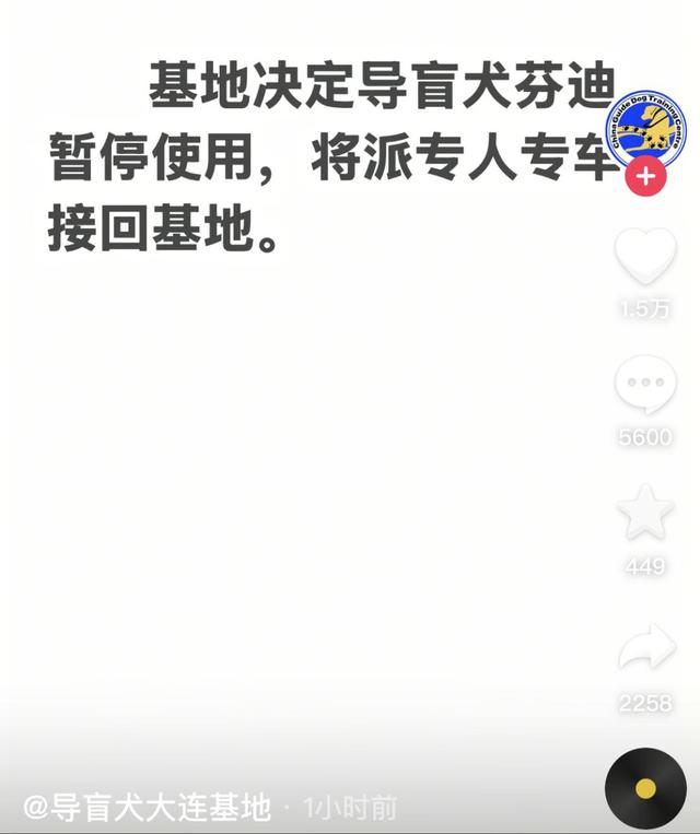 带导盲犬爬泰山后续！账号被扒，带狗到处旅游，基地回应大快人心