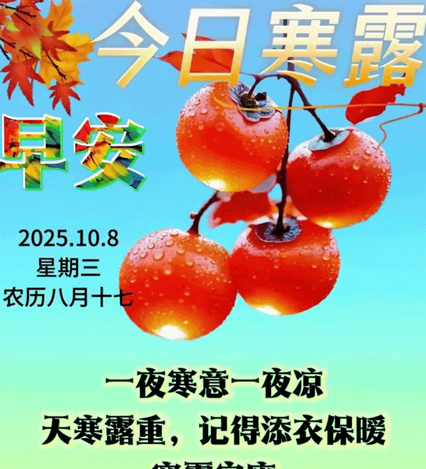 寒露节气特别漂亮的早安好祝福图片问候语句子，总有一条适合你！