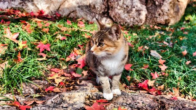此时的你,被美到了!