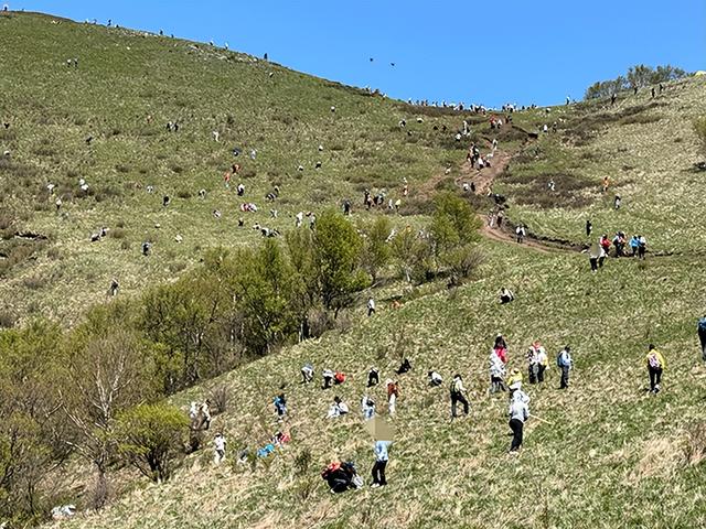 山野不是“免费超市”